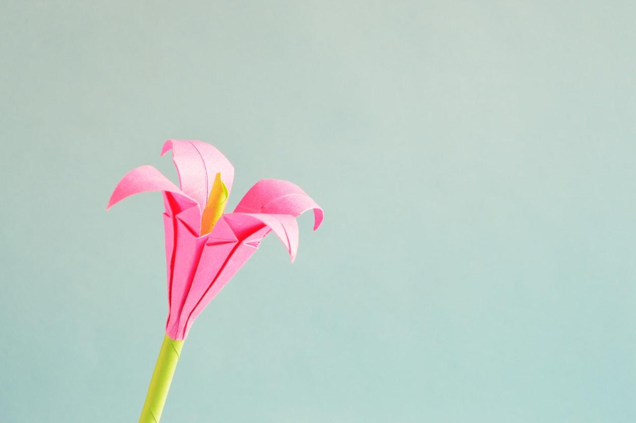 flowering-success