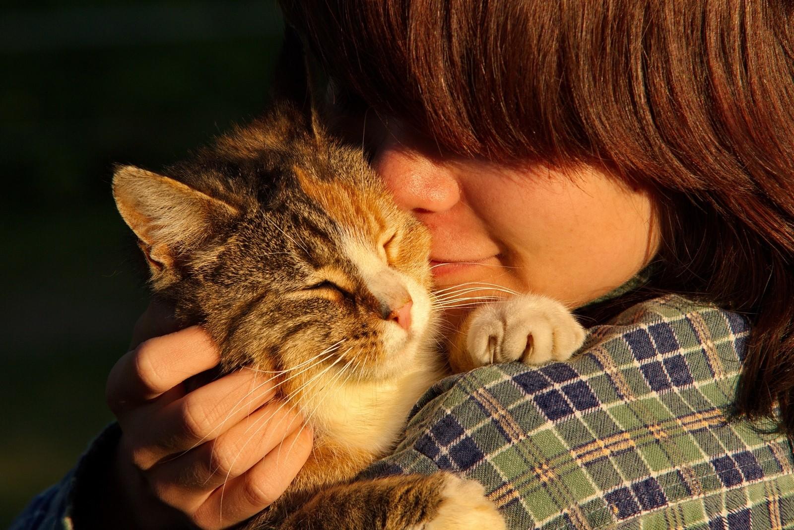 Pets are good companions and de-stressers.