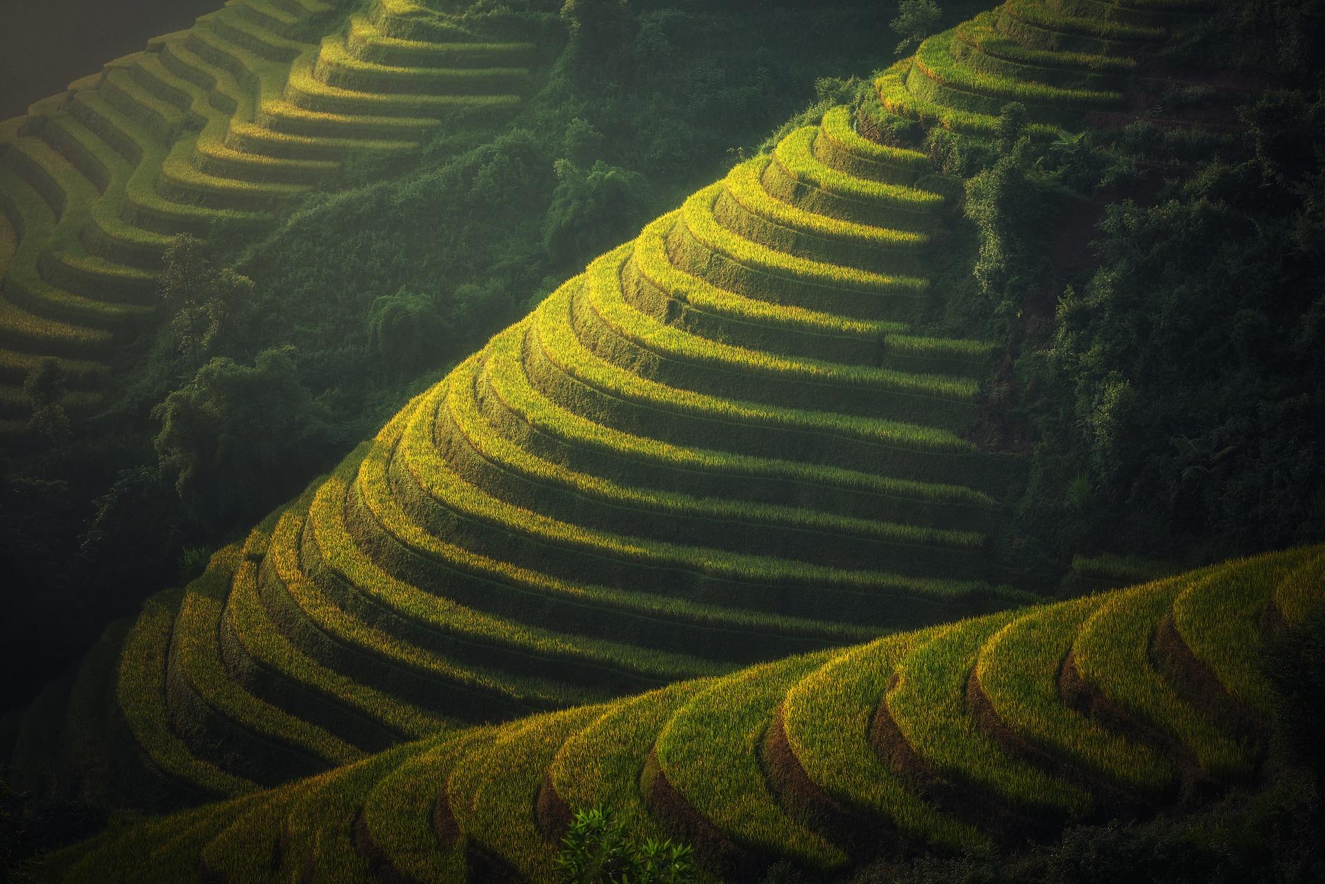 Which are the most commonly used Chinese characters?