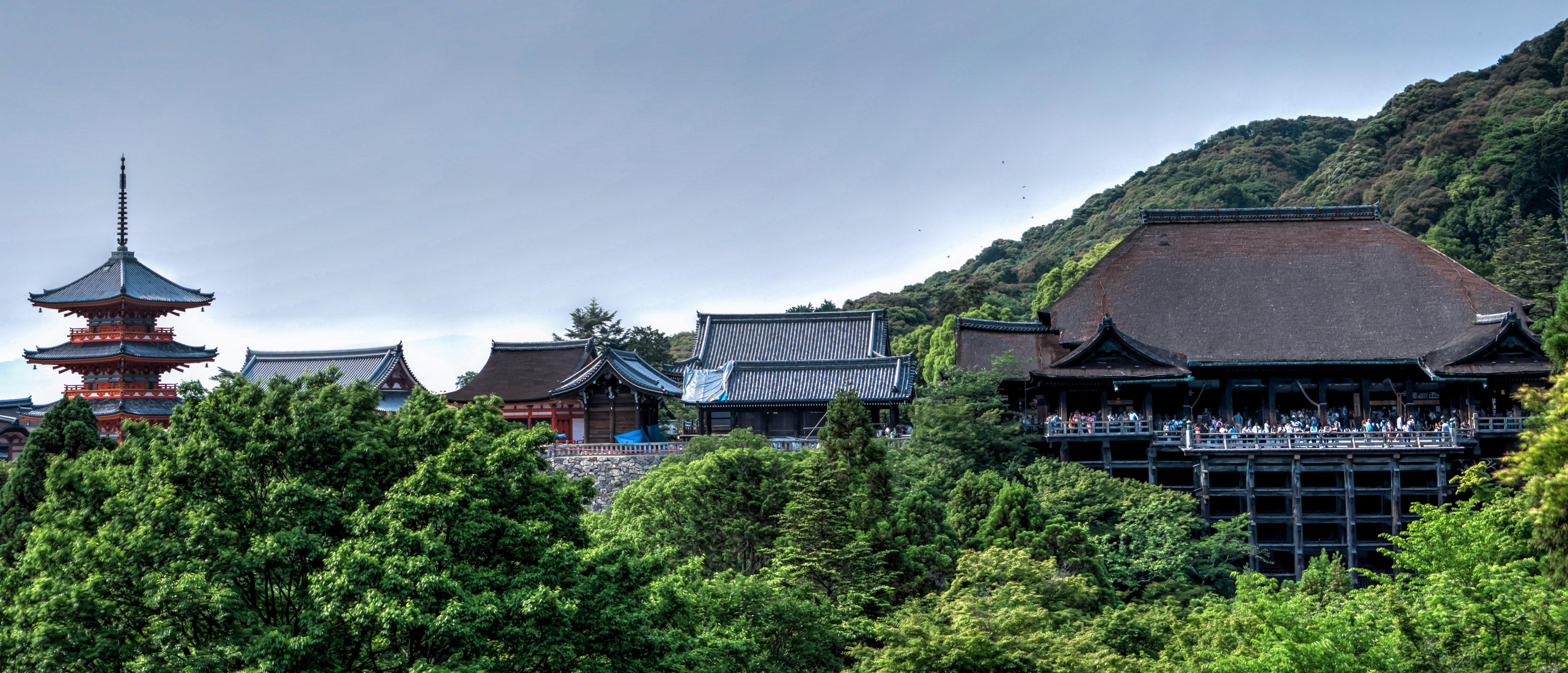 What are the best ways to learn Japanese?