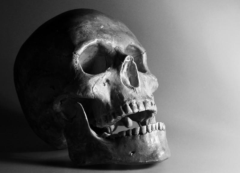 The skull is a great place to start when drawing a portrait