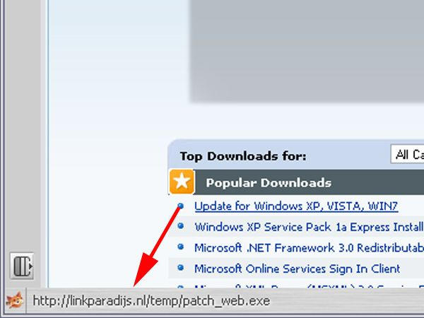 Beware of copies of well-known and important websites-