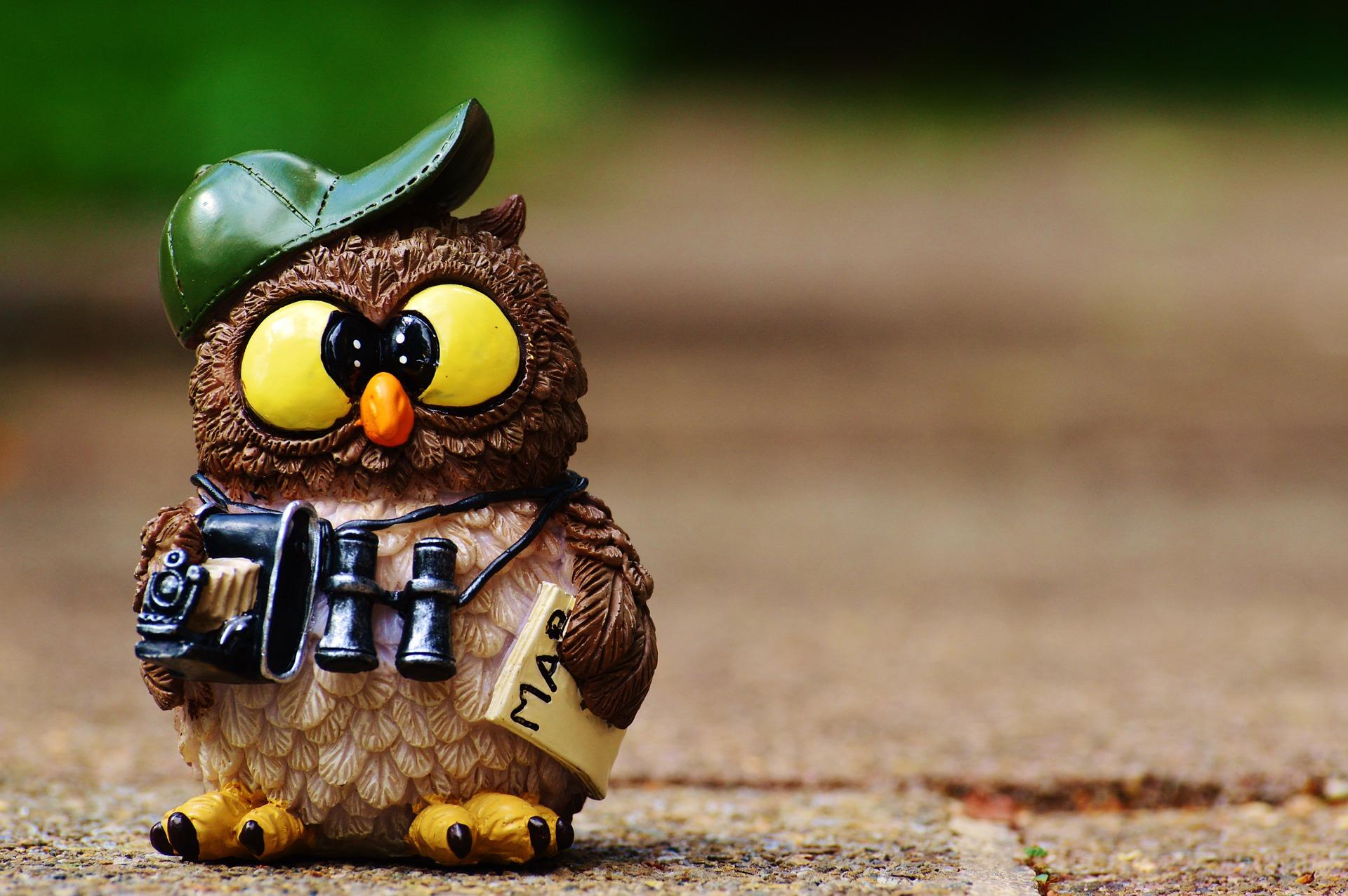 Earning your degree is the surest path to a career in photography