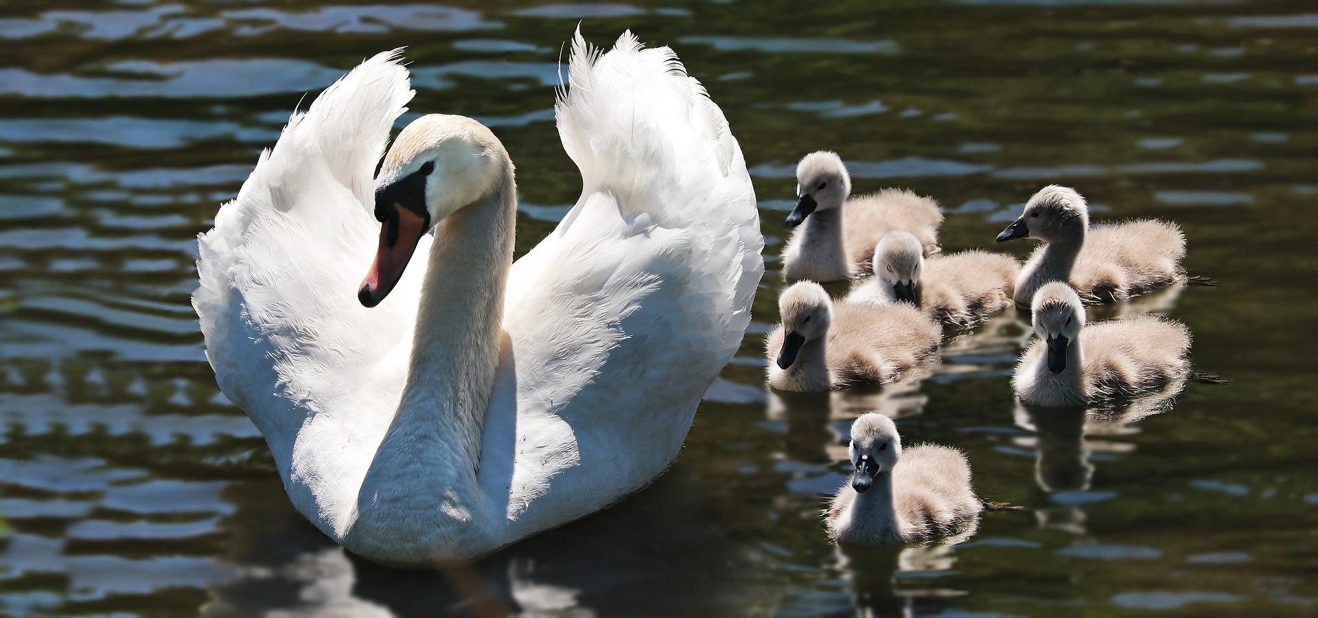 Capture nature in any light with photography magazine tutorials