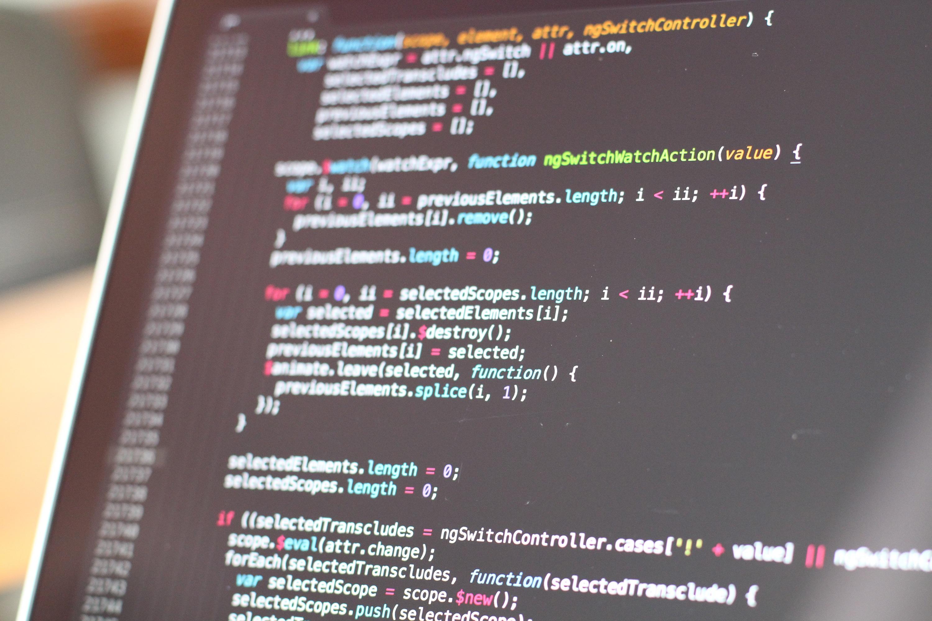 Which is the most important programming language?