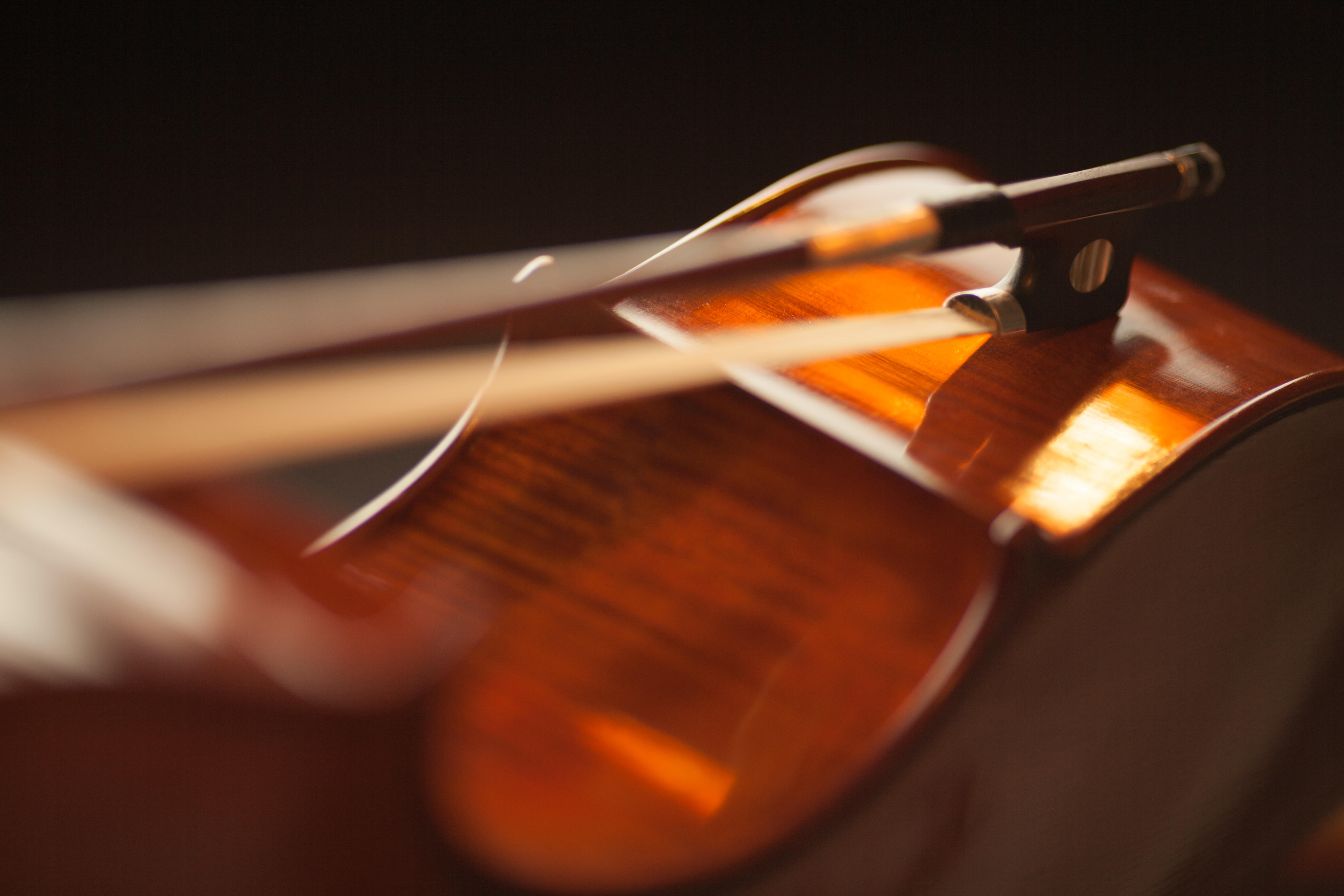 How much do violins cost?