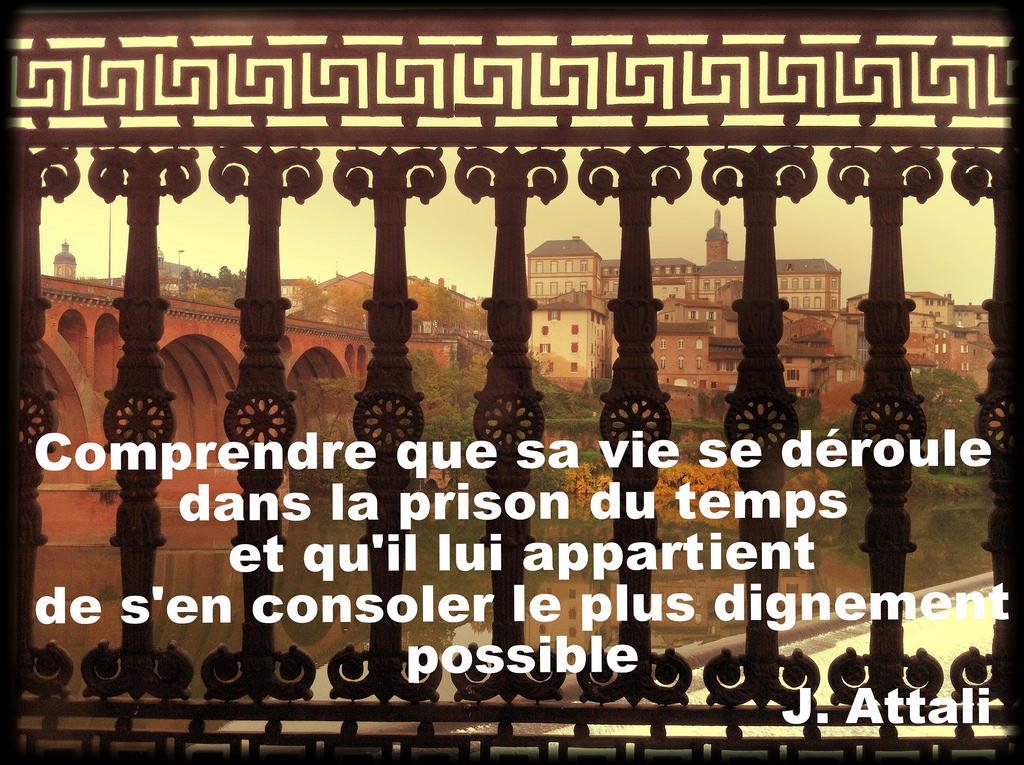 Learn about French sentence structure
