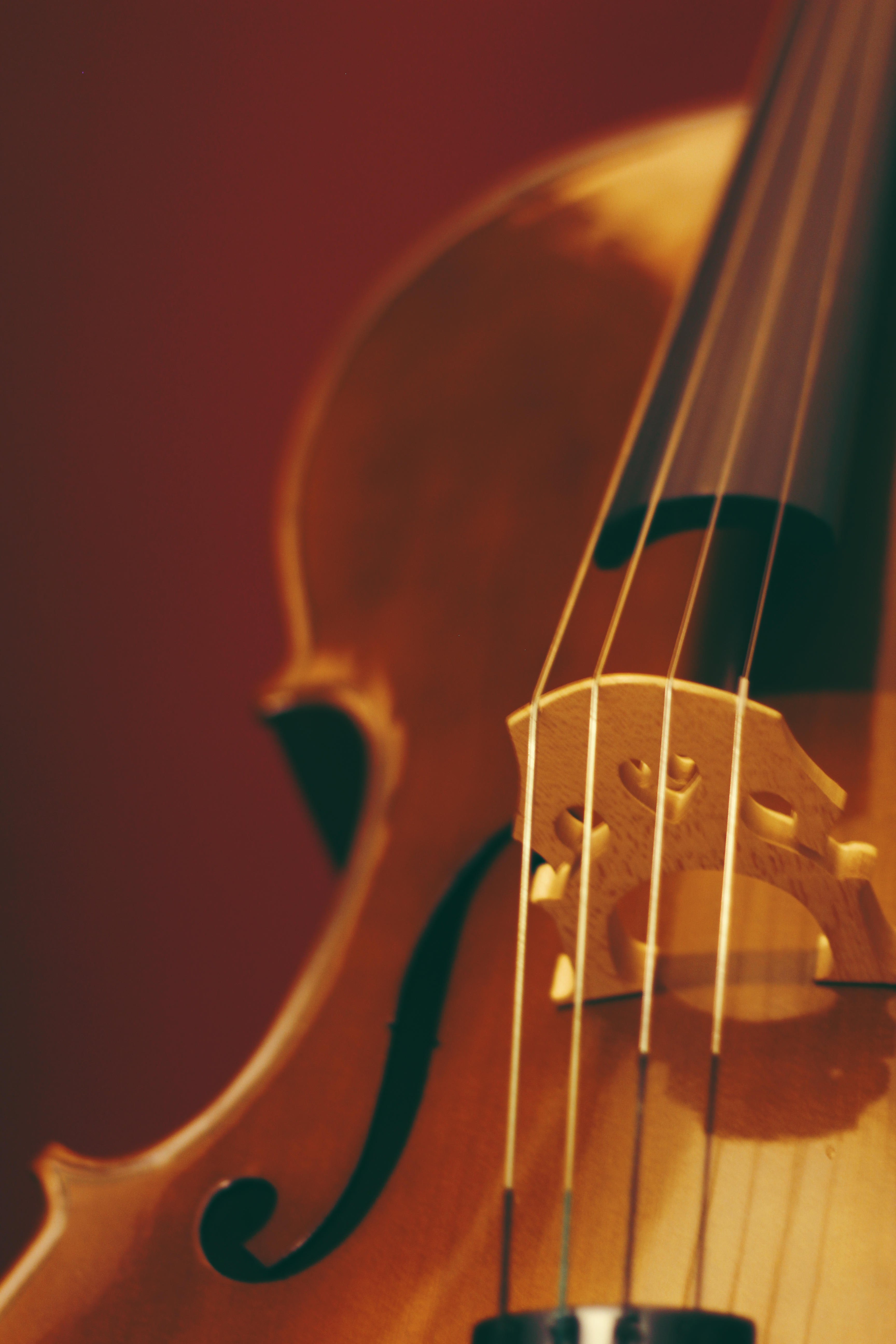 How do you start playing the violin?