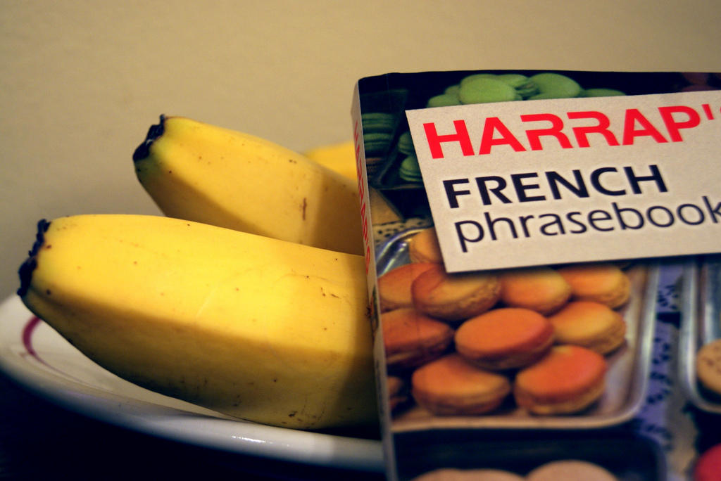 French phrasebooks give everyday phrases.