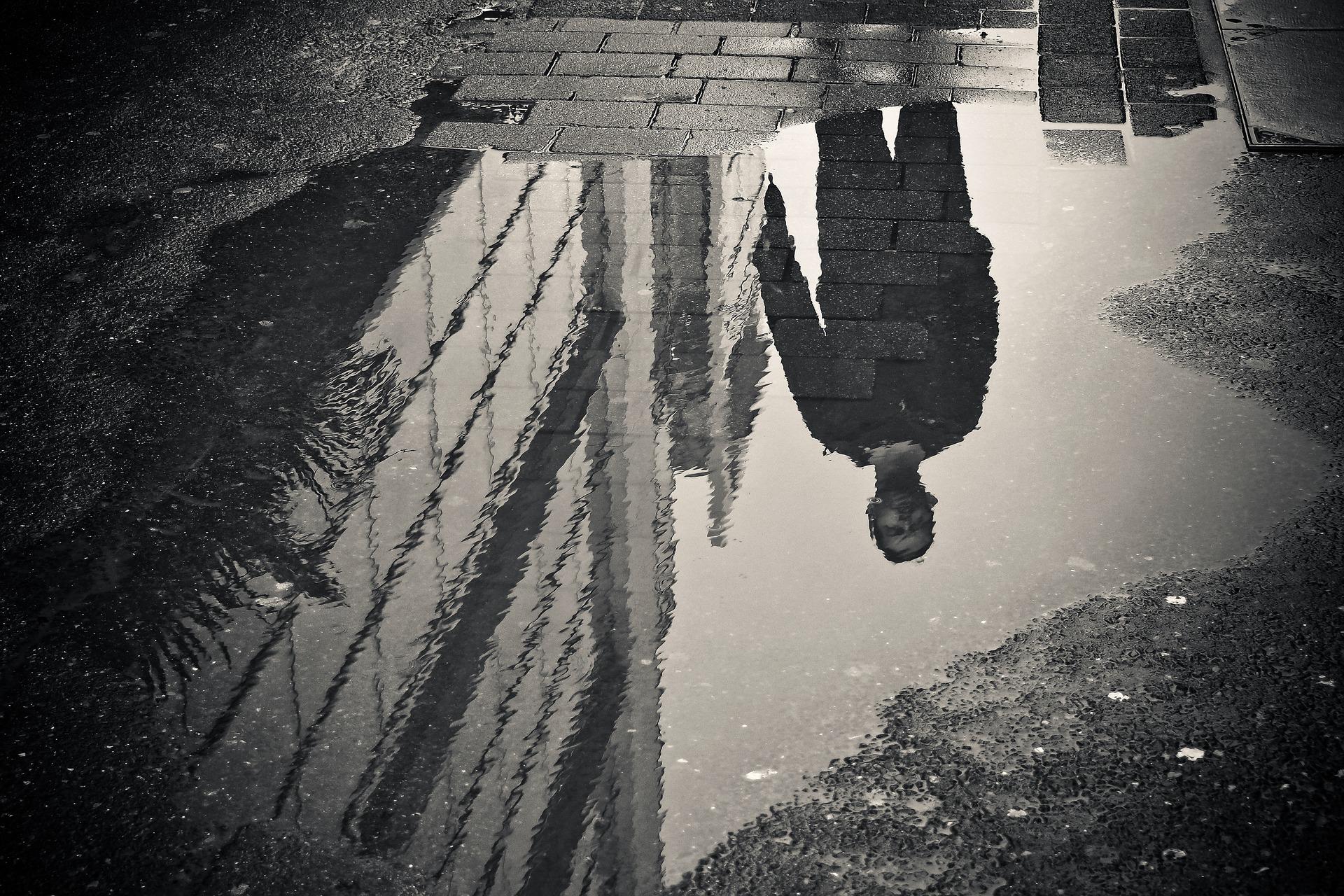 Photography instructors at London Speos could teach you how to capture such a shot