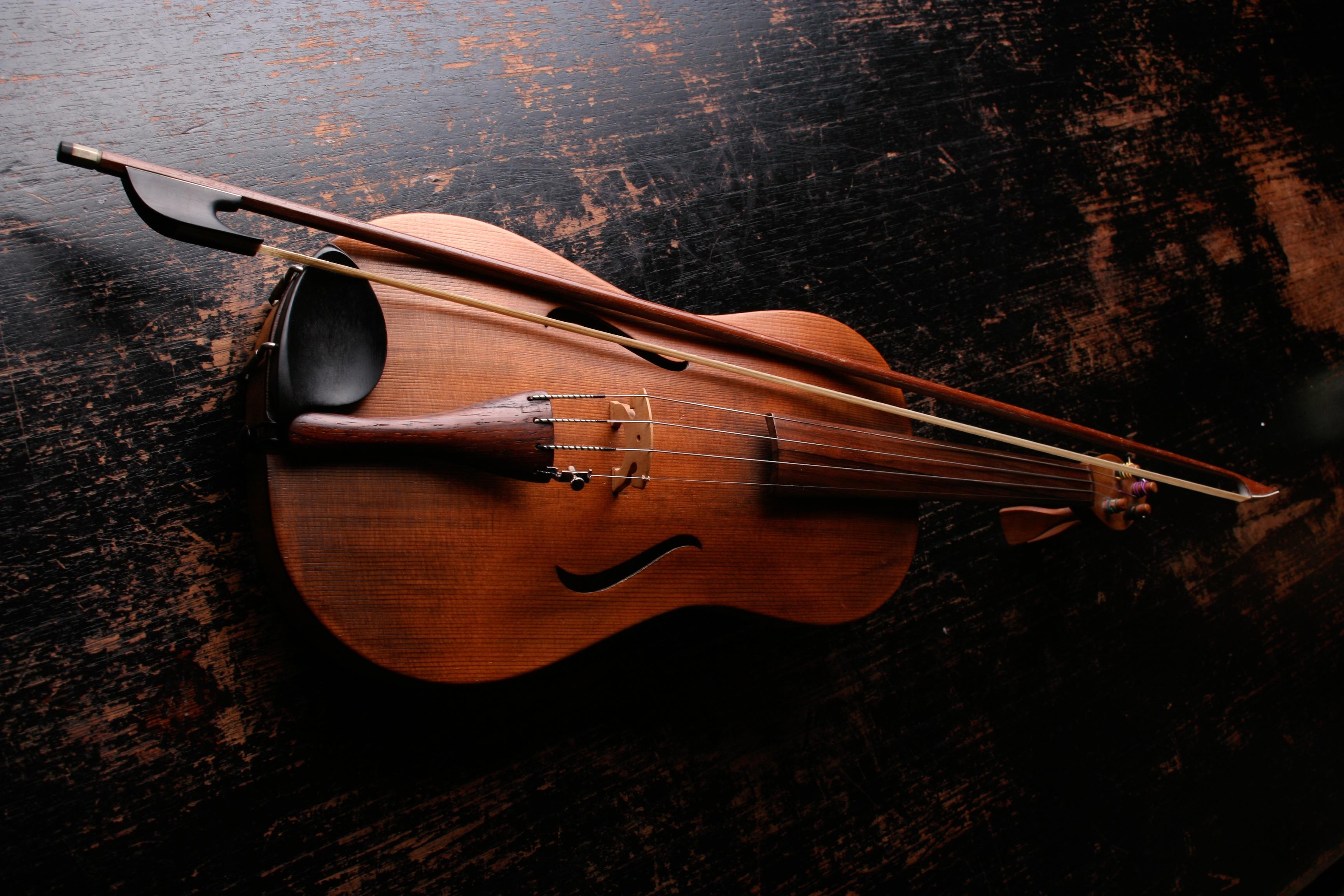 How can you teach yourself violin?