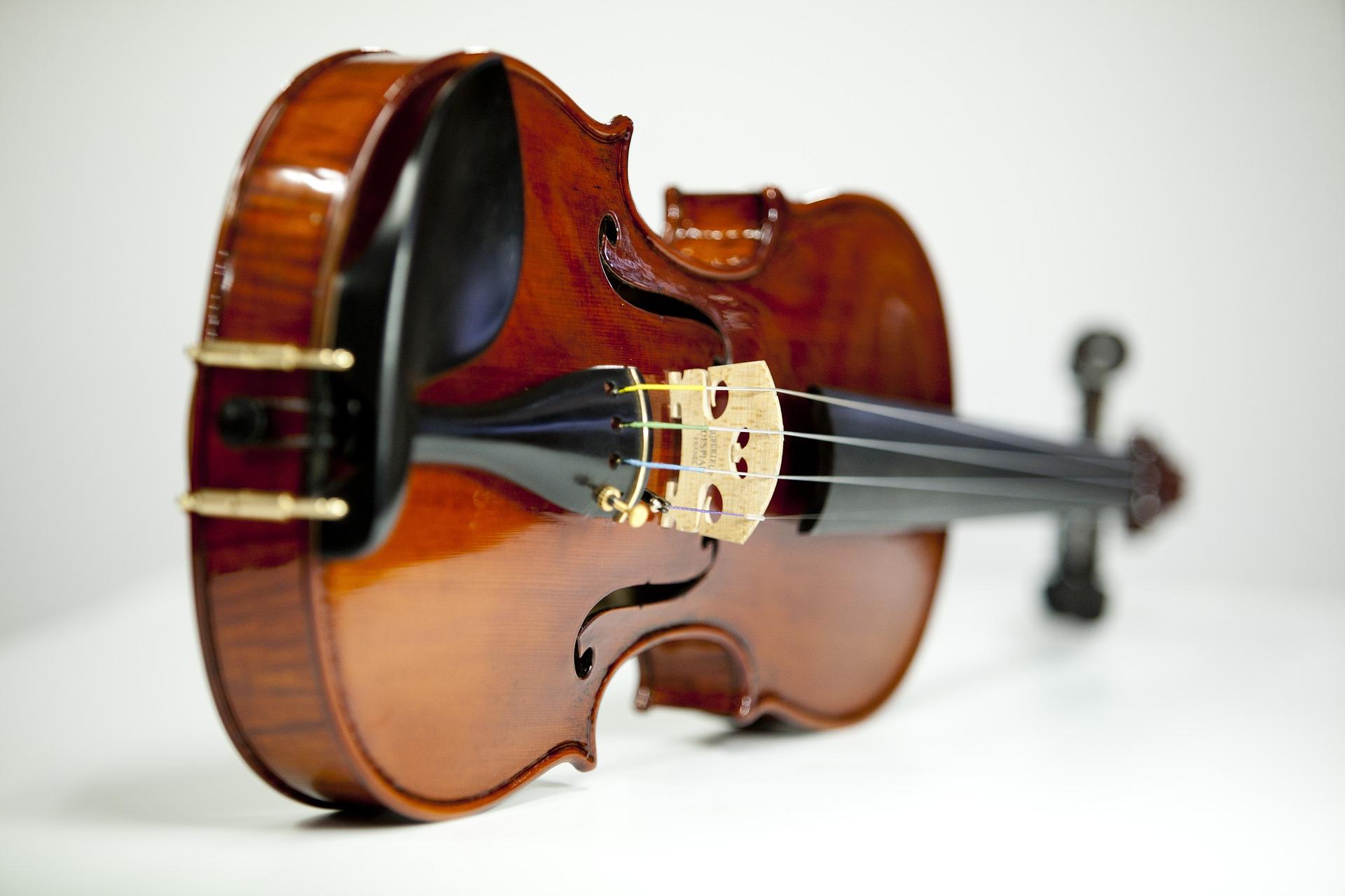 How much do violins cost?