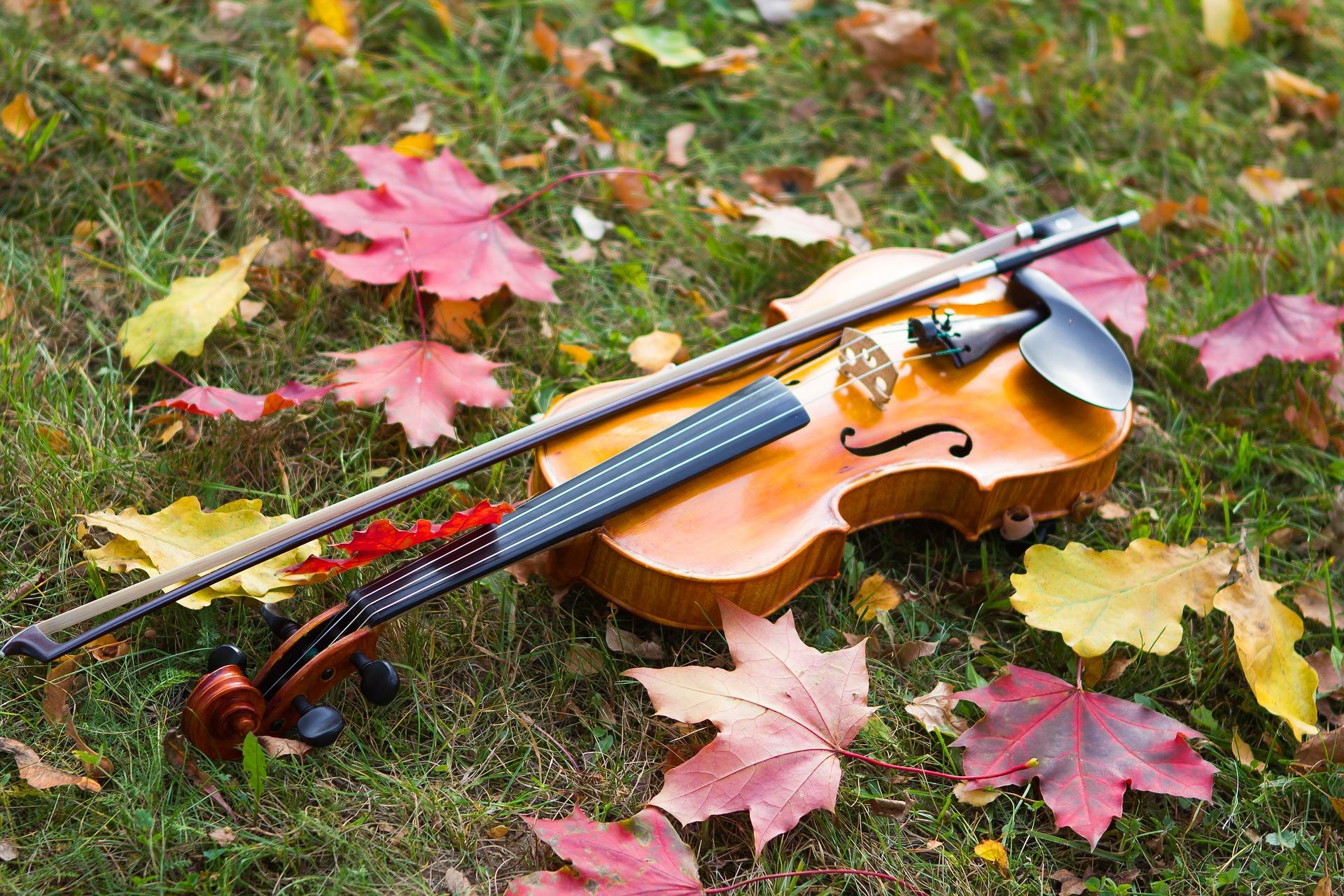 Which are the best warm-up techniques for violin players?