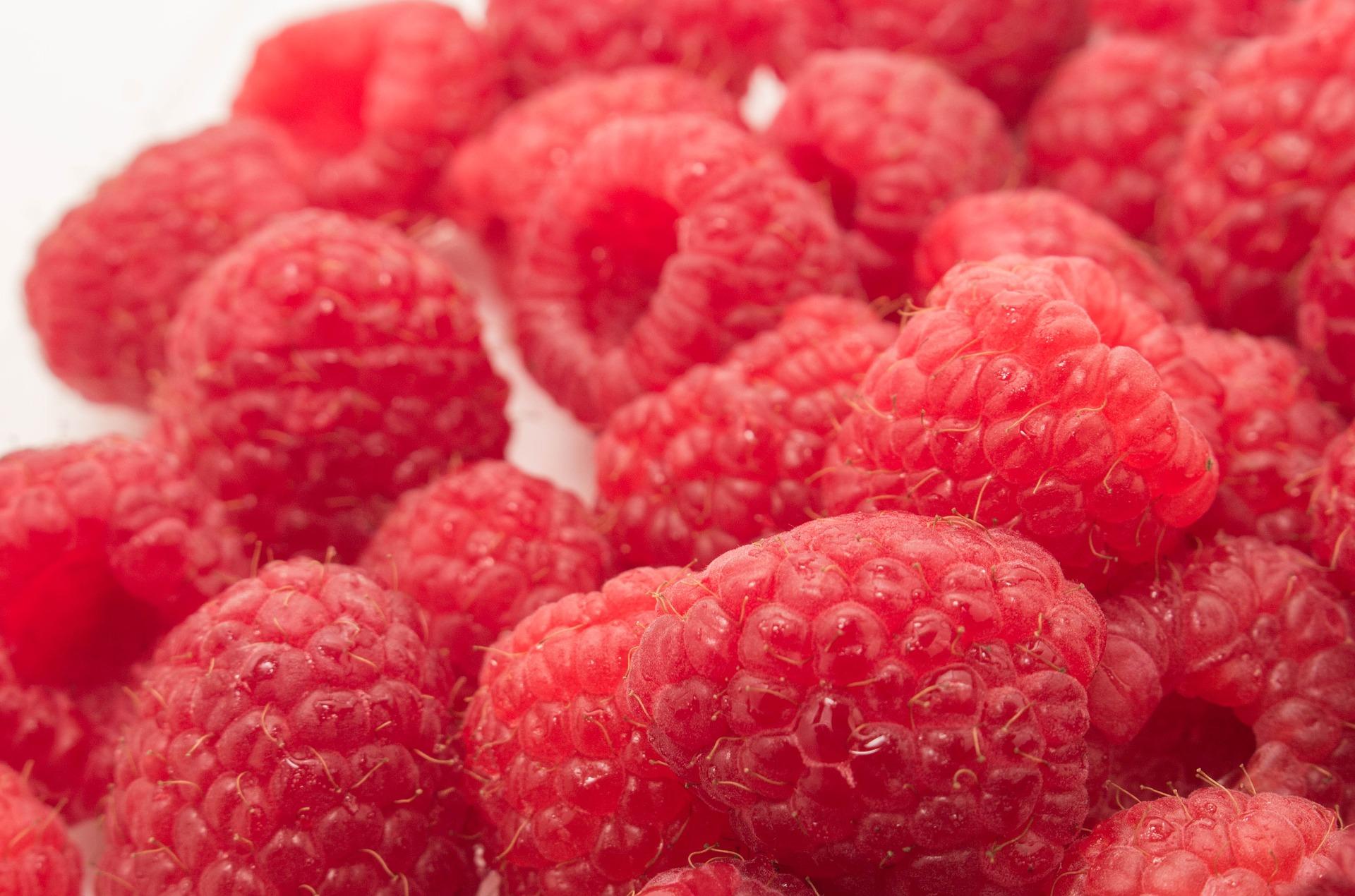 What is panna cotta made of?