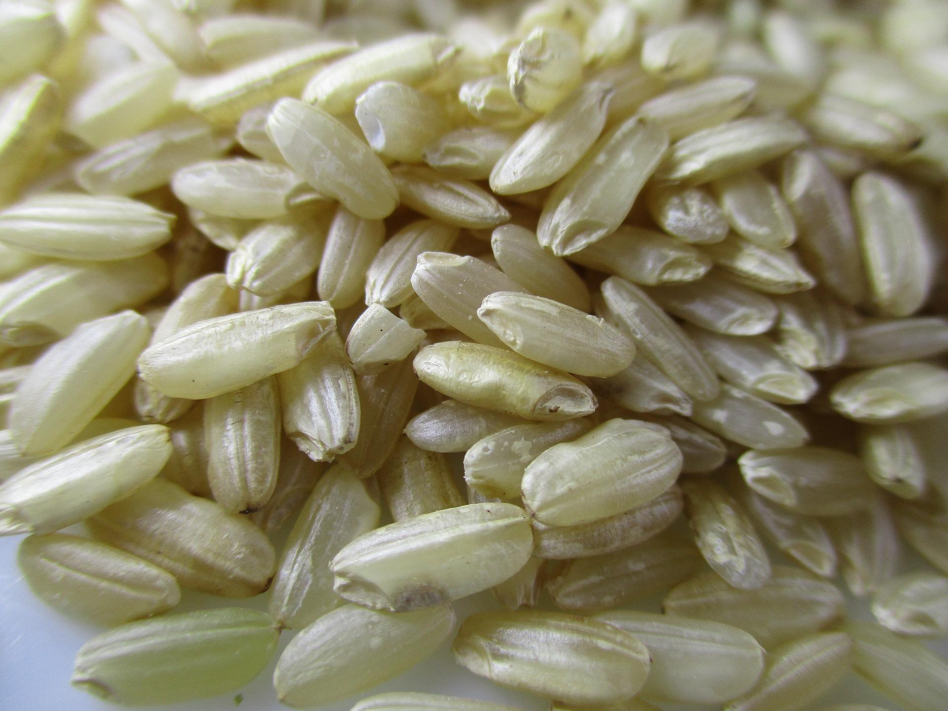 Which rice should you use for a risotto?