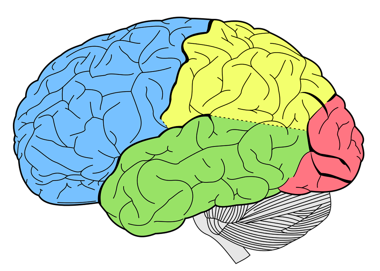 Why not reap the benefits of learning another language?