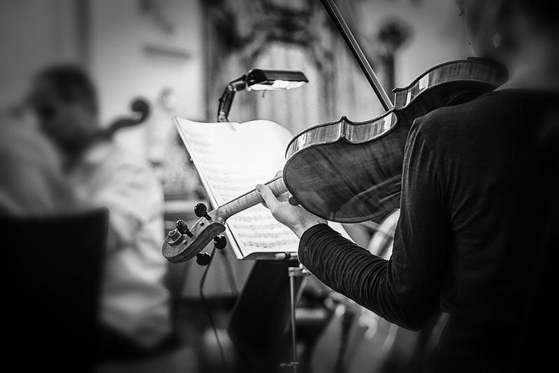 Pro tips for violinists to prepare them for the world of music