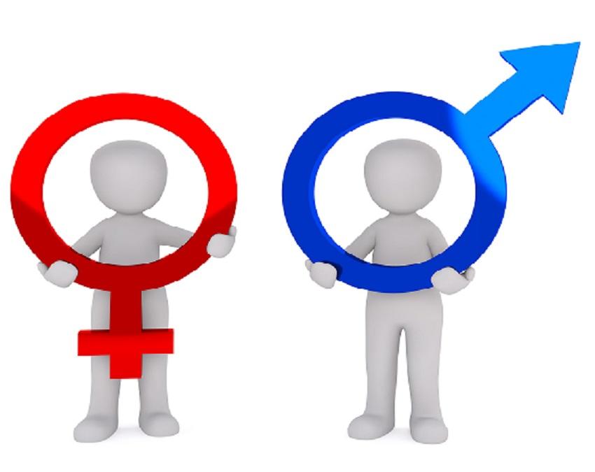 Practice subject pronouns in both genders to speak French correctly