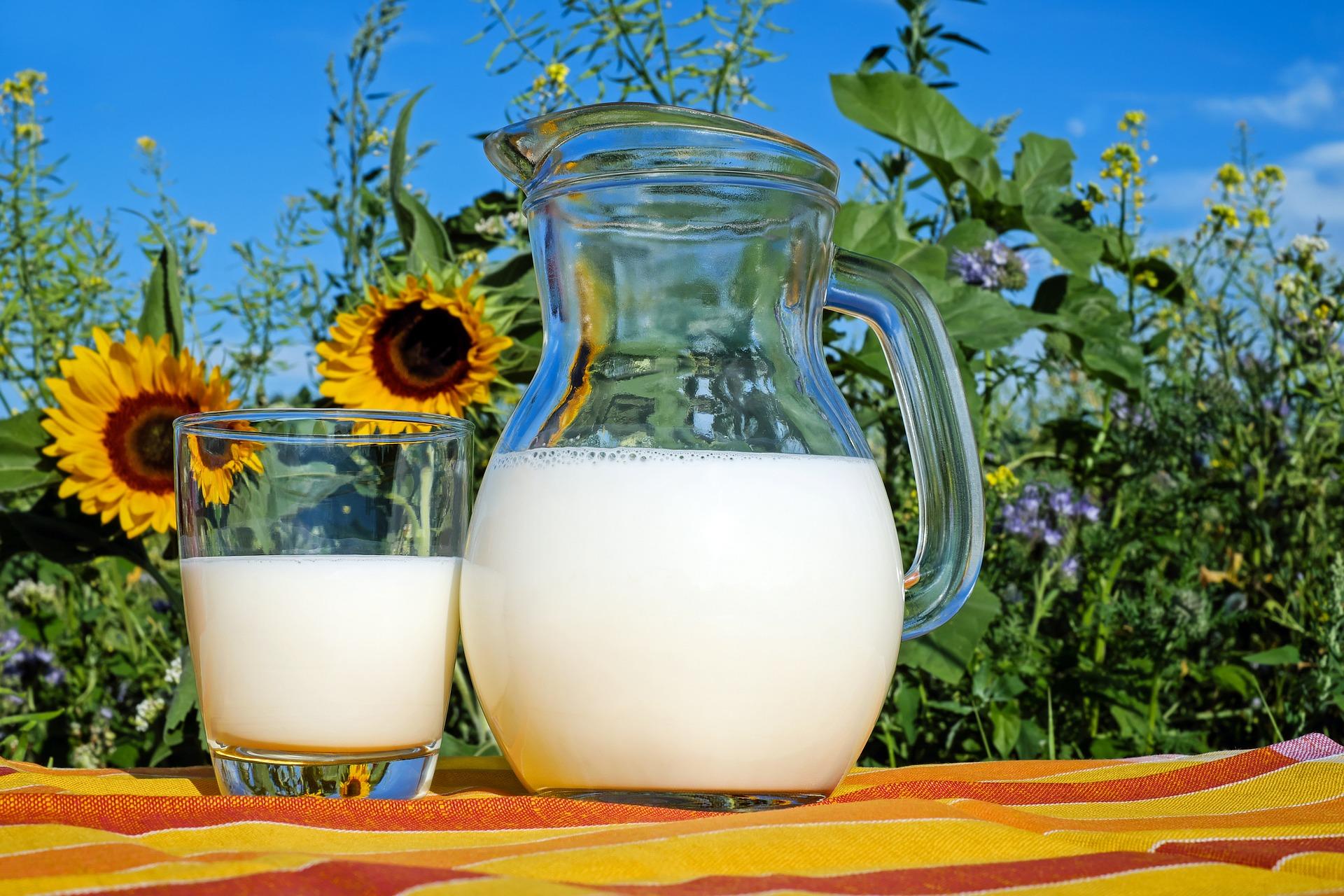 Aren't we glad that Louis Pasteur understood the meaning of heating milk?