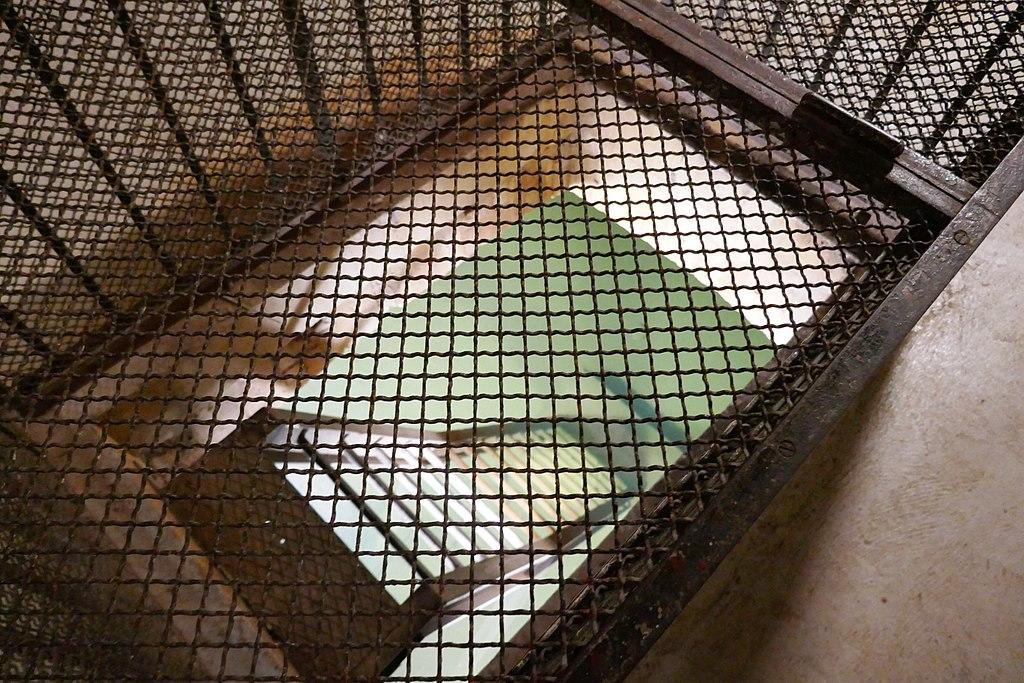 The entrance to an underground lake under the Paris opera house.