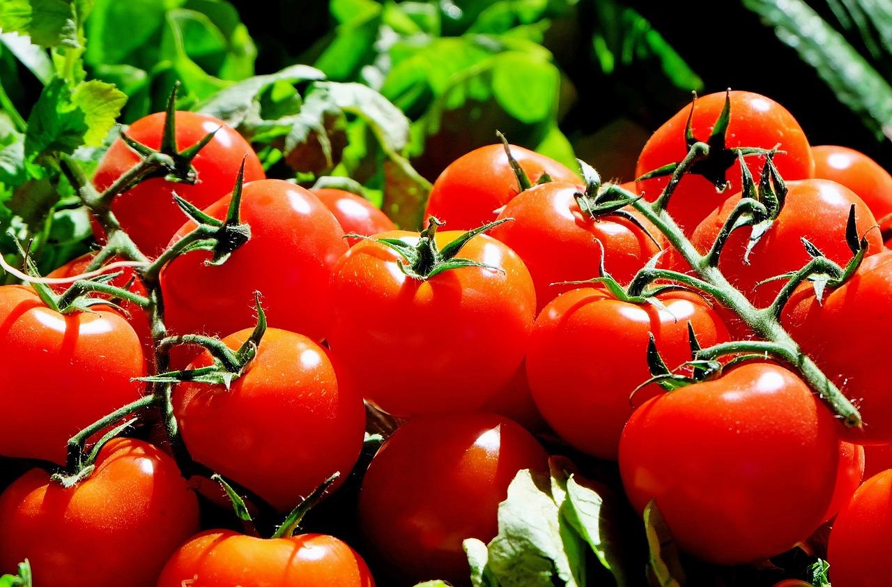 What type of tomato should you use for Italian food?