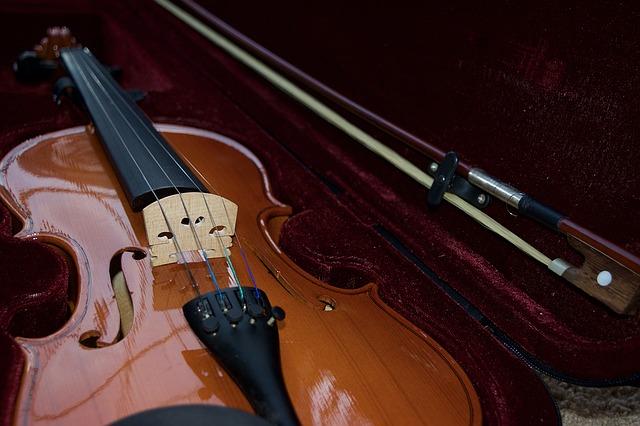 Violin cases are specially designed to house violins safely