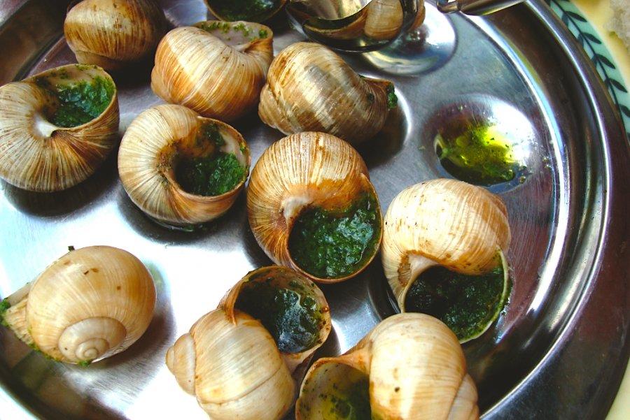 Delicious snails in garlic butter