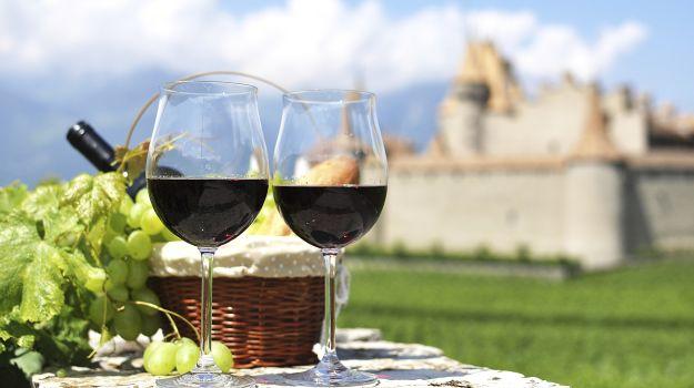 Wine tasting in the French countryside