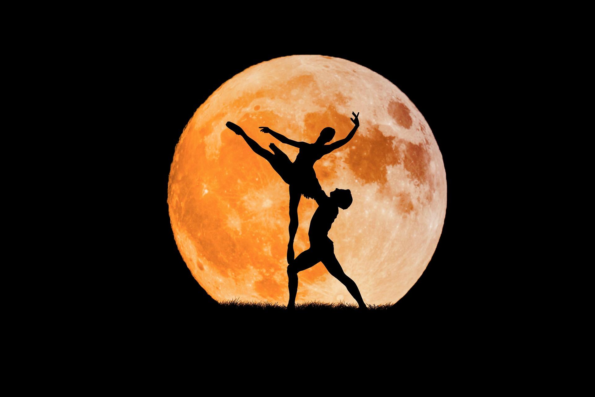 What are the basics of ballet dancing?