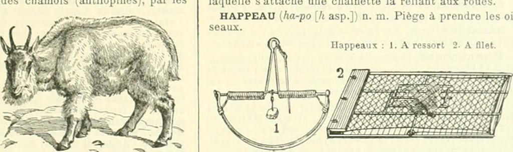 Dictionaries helped codify the French language.