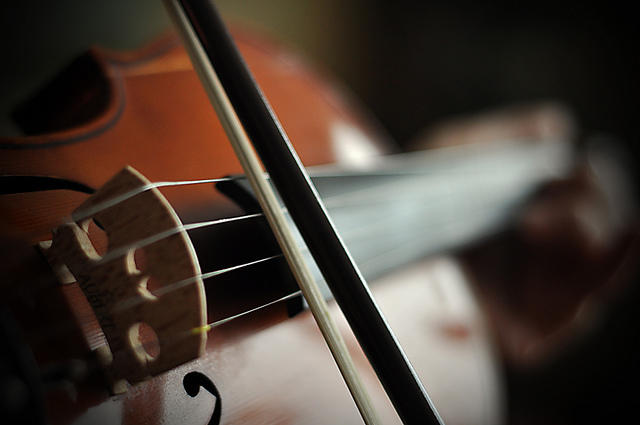 Tightening and loosening the horsehair will ensure that your violin bow does not become warped