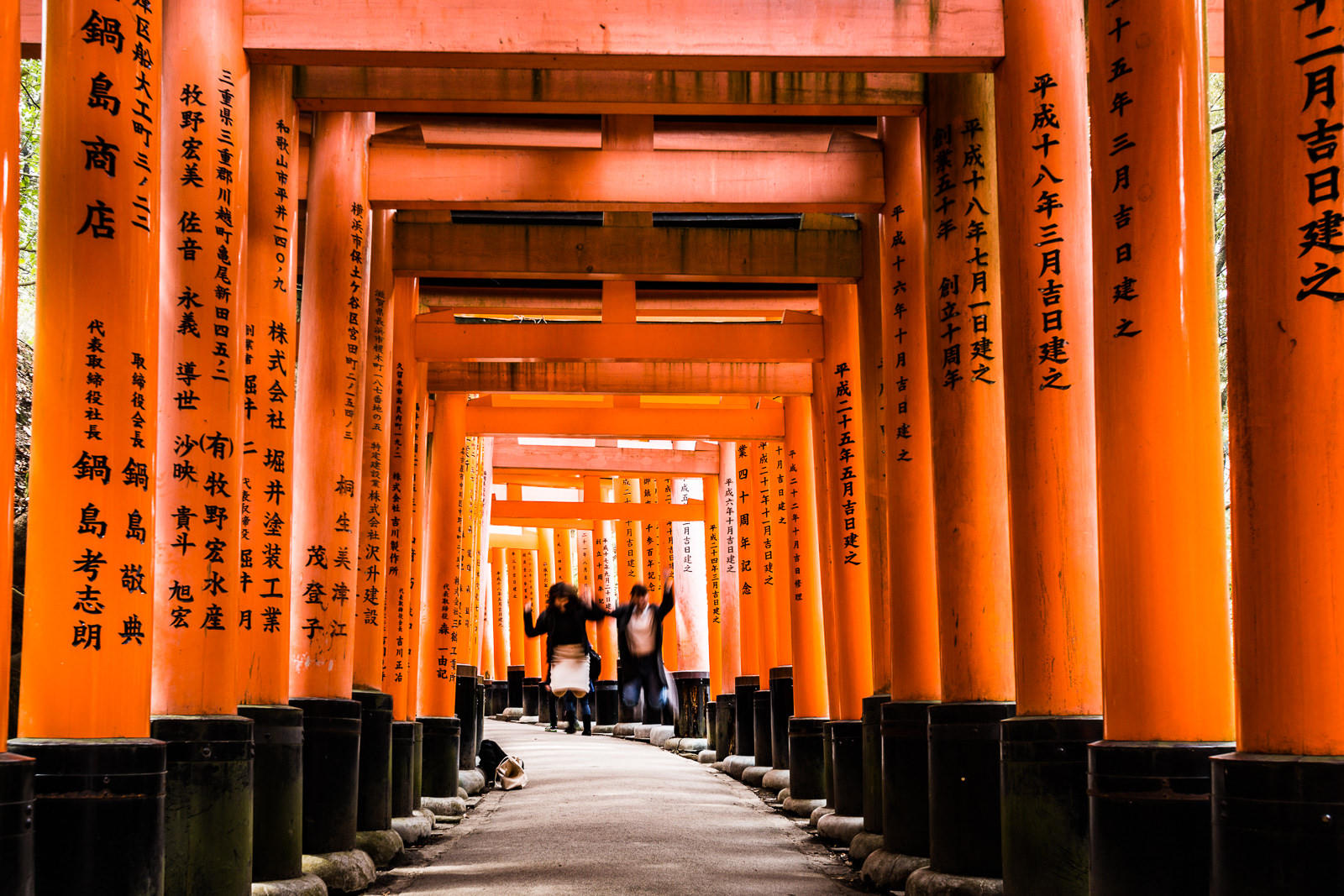 Walked down the torii at the Fushimi Inari shrine.