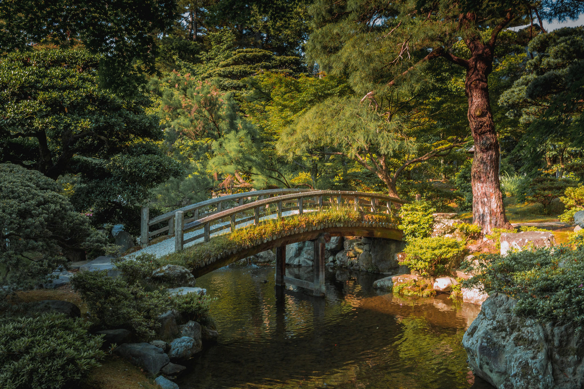 Japanese garden along the Imperial Palace of Kyoto.