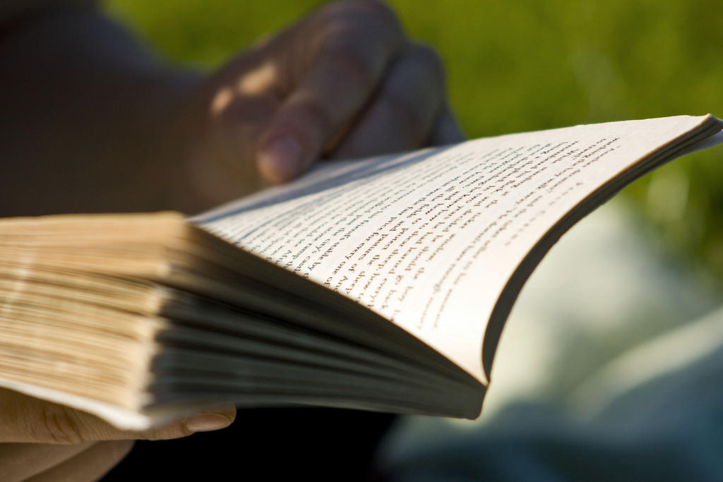 A person reading a book. There are plenty of top economics books available to buy or borrow.