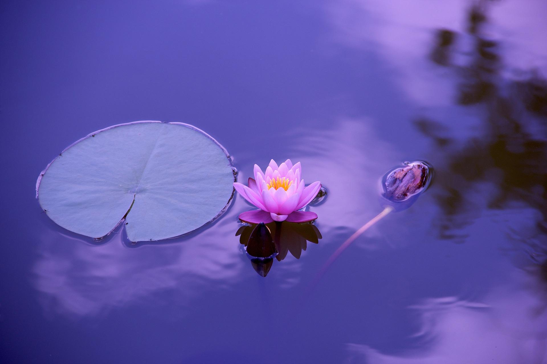 What are the best meditation exercises?