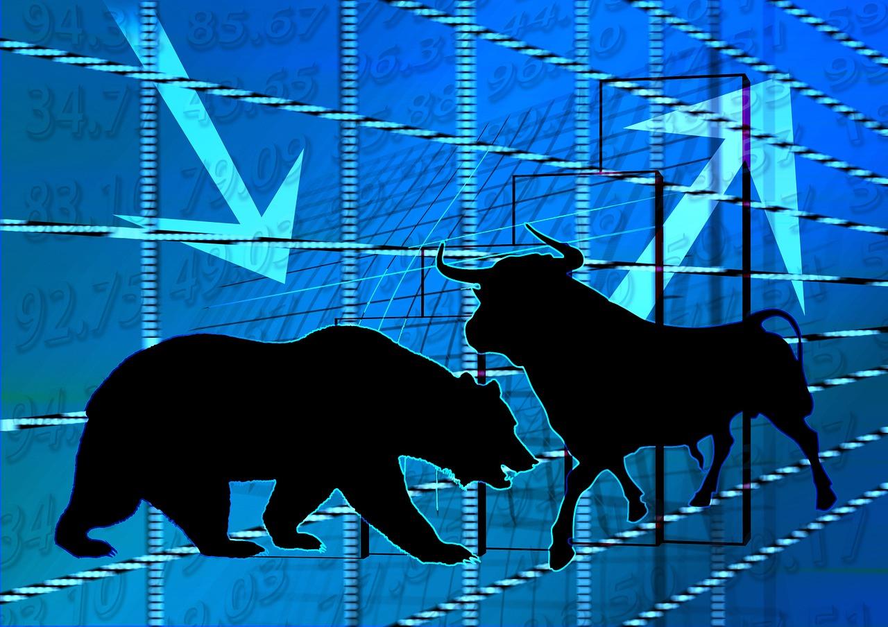 A bull market should be part of anyone's economics glossary.