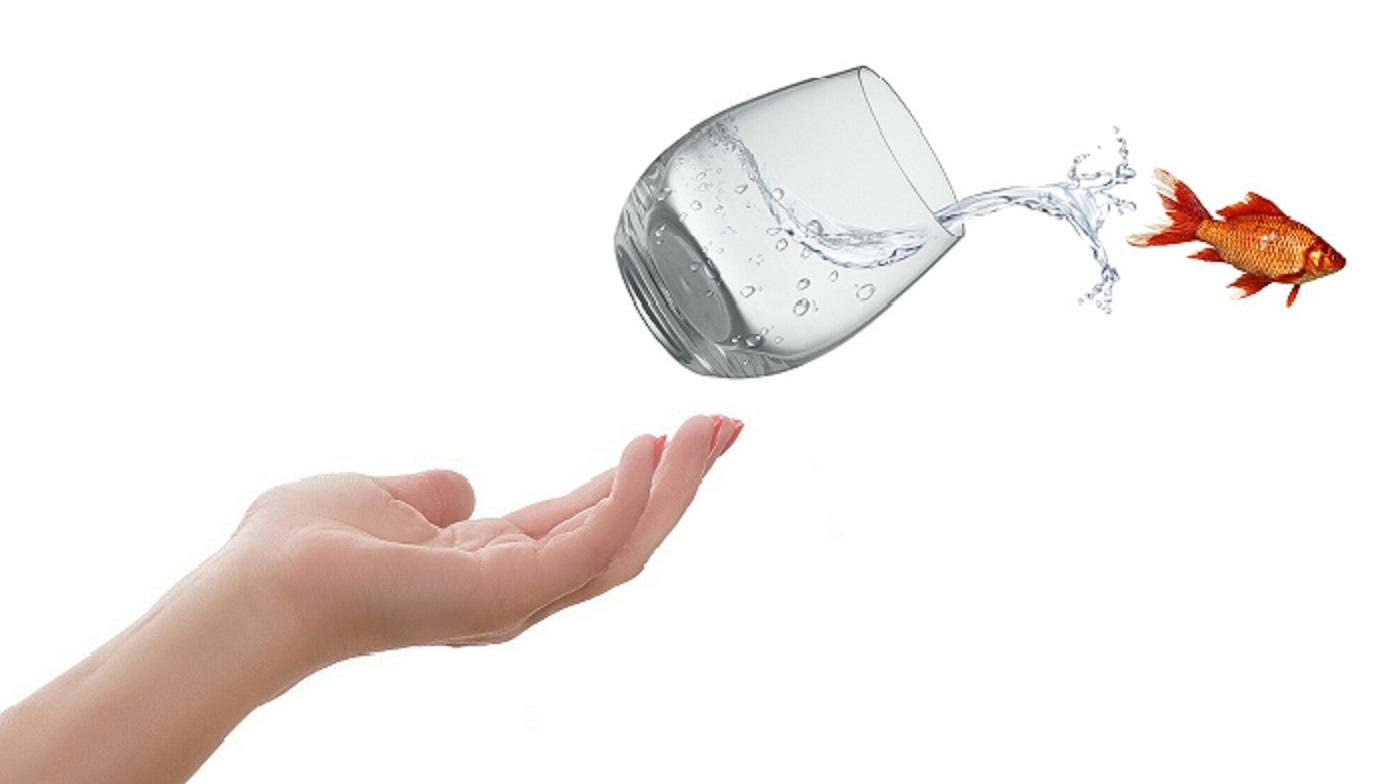 No need to feel like a fish out of water when becoming a personal trainer