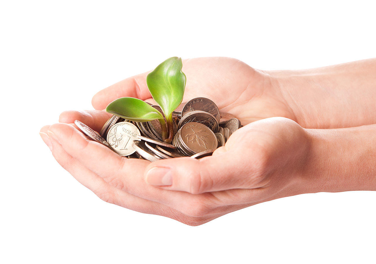 Wealth can form part of economic meaning.