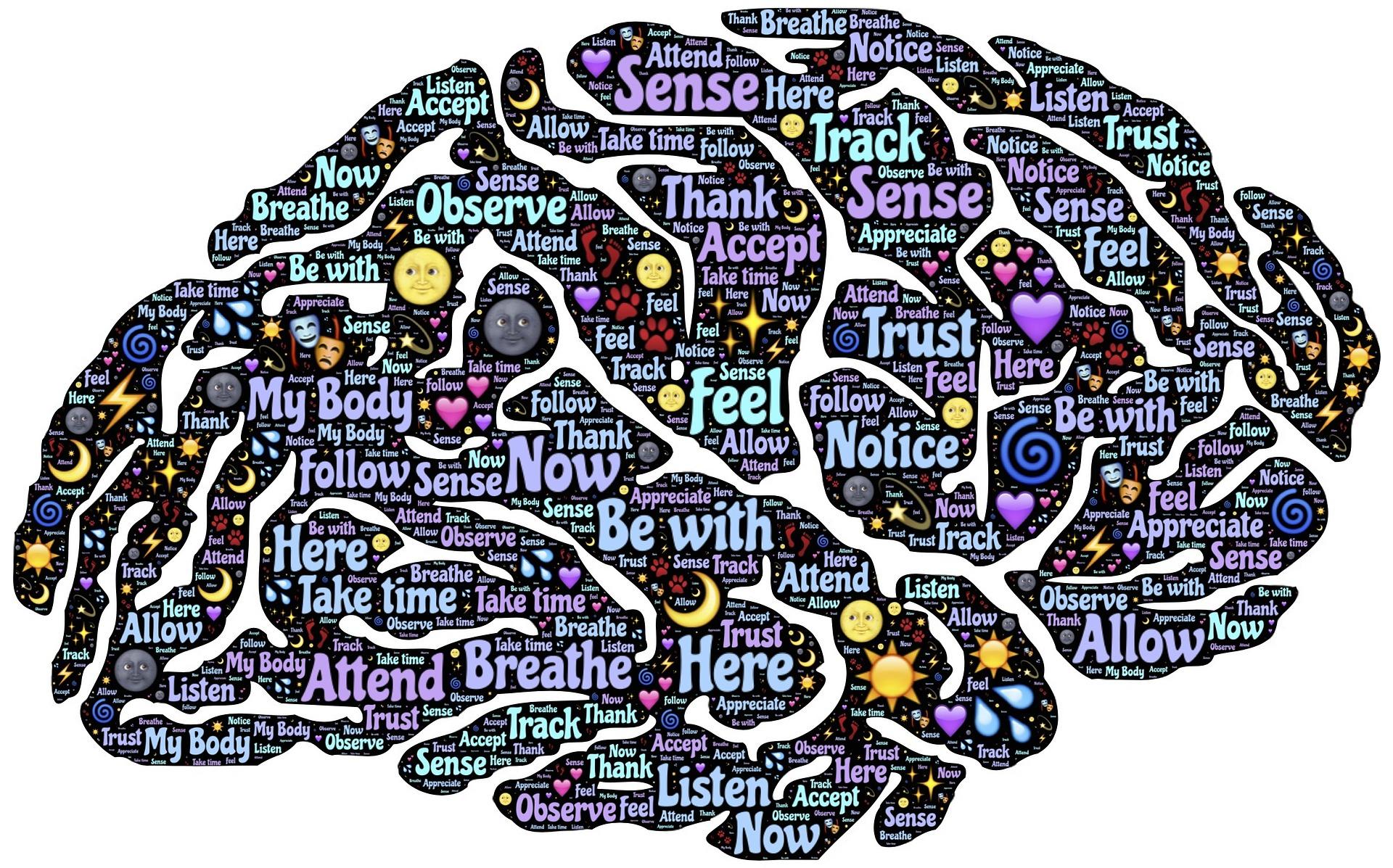 What happens to your mind when you practise yoga?