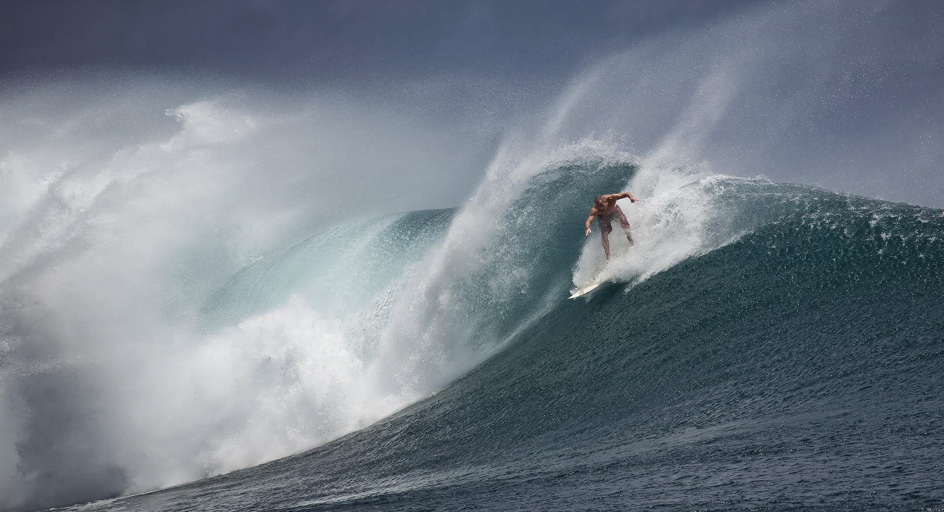 Only catch healthy new waves, not faddish ones!