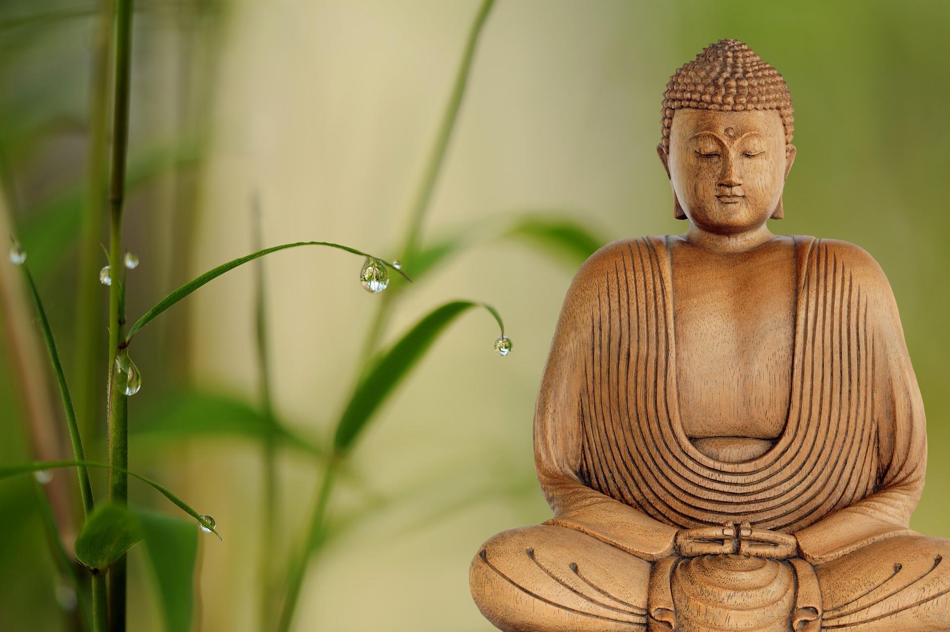 Let yoga bring you to a sense of wellness!