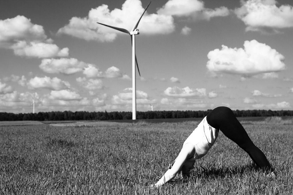 Grasp the basics of yoga to begin your journey