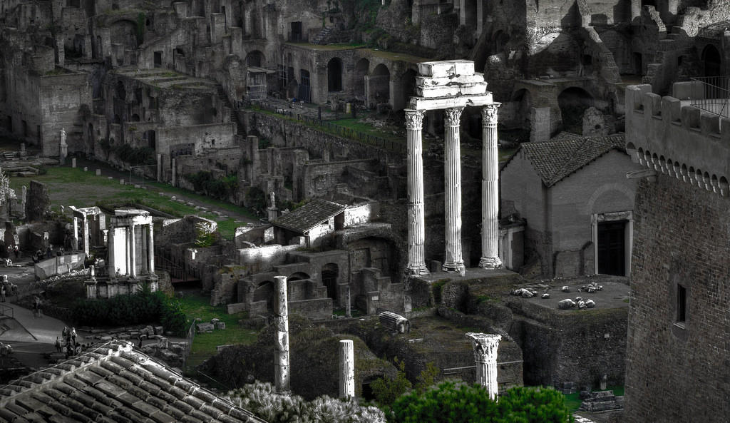 Study Latin at University.