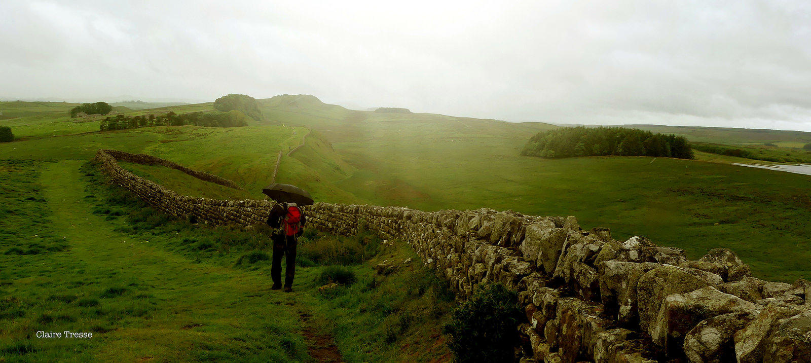 The old Hadrian Wall in Northumberland.