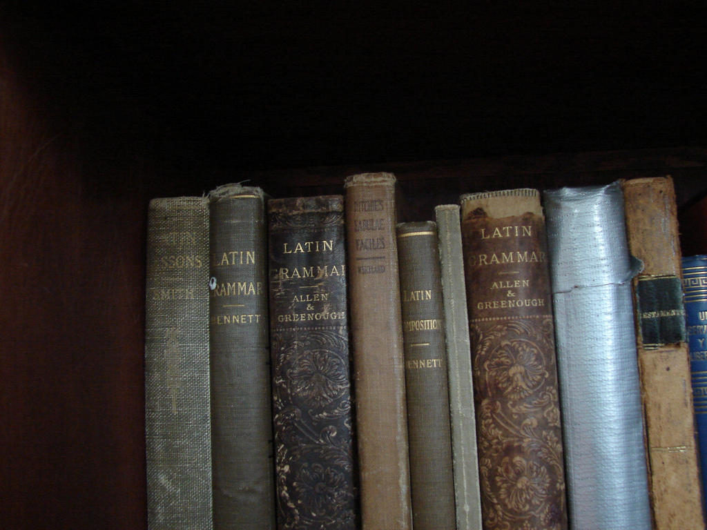 Learn Latin grammar at A-levels.