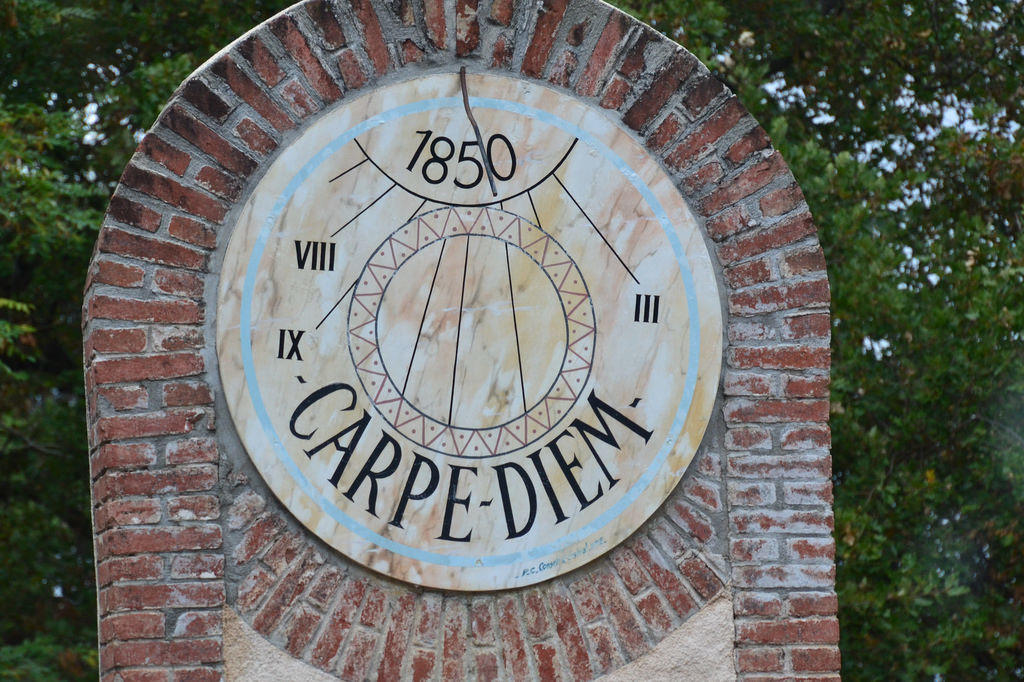 Carpe Diem is a Latin phrase.