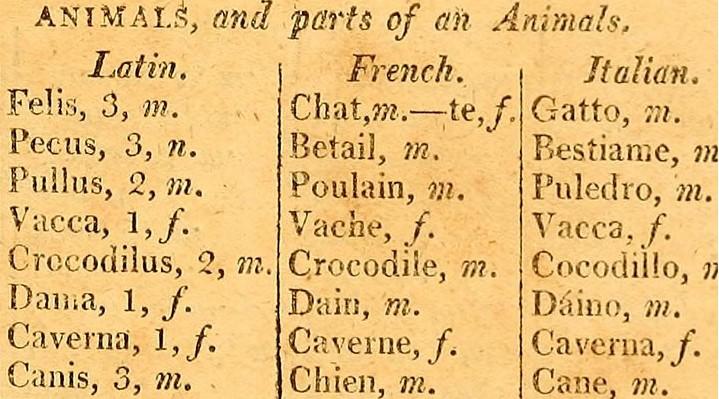 Latin is at the root of Romance languages