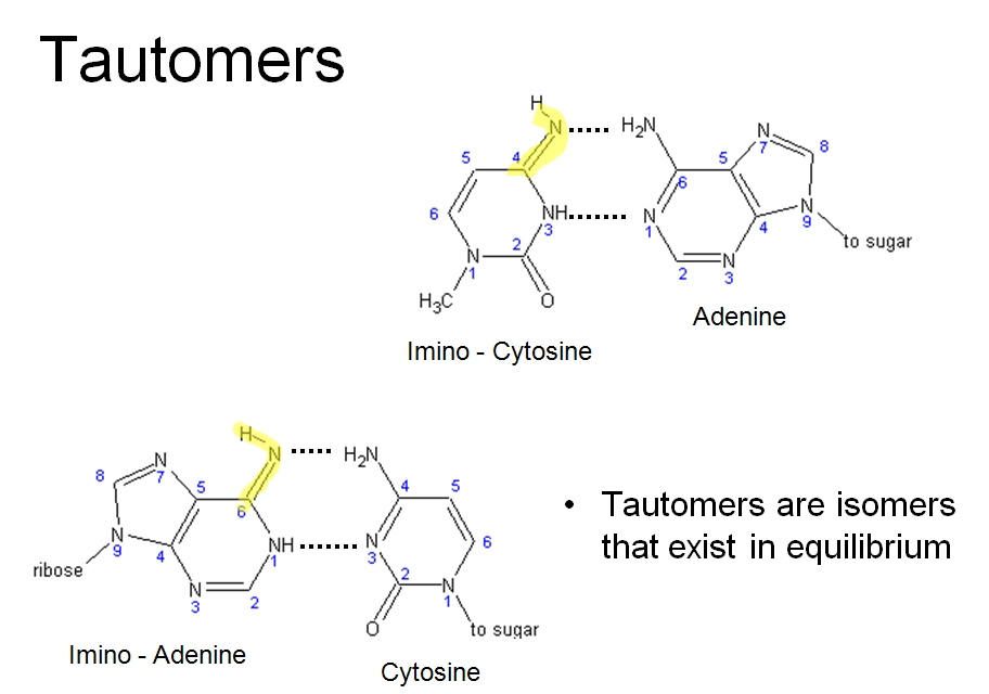 Latin can help you in chemistry.