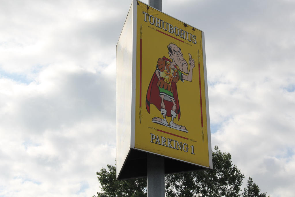 Learn basic Latin grammar.