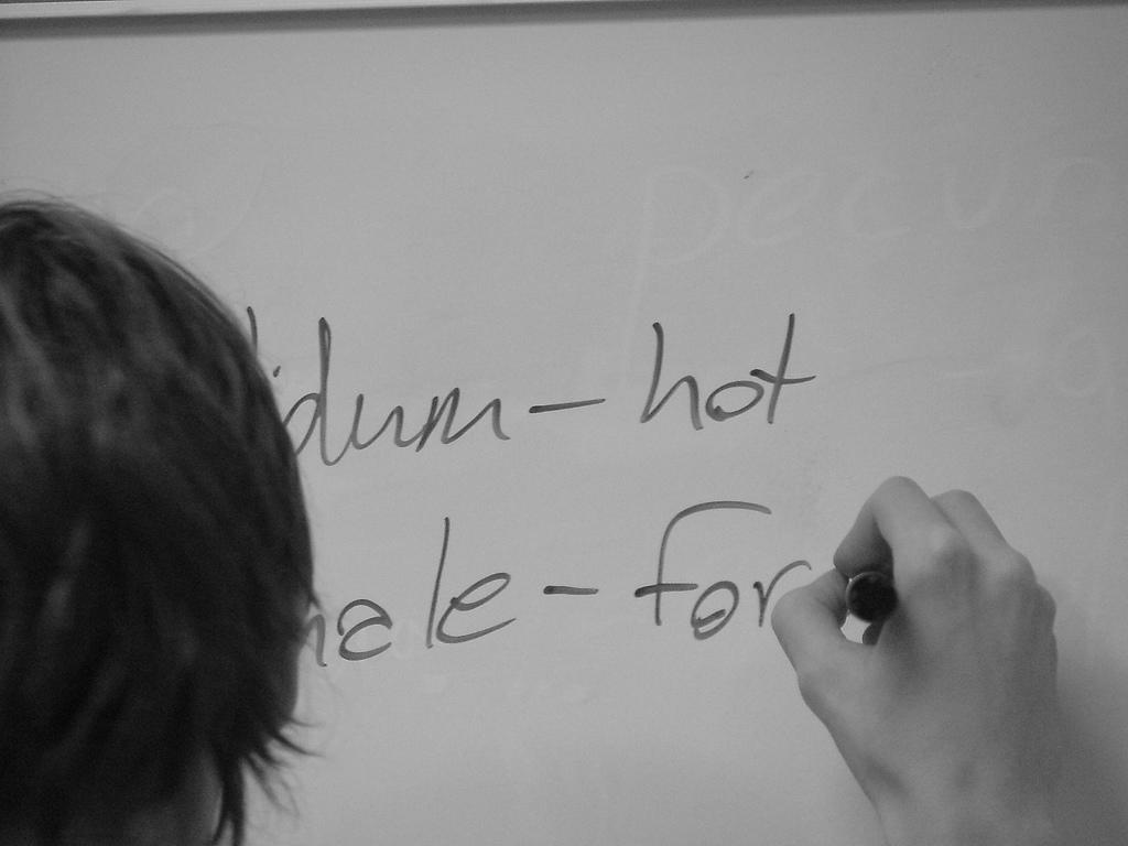 Use online resources and websites to learn Latin declensions.